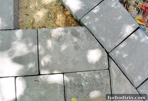 Build a Durable Paver Patio: Step-by-Step Guide for Success 8 img 35853 8
