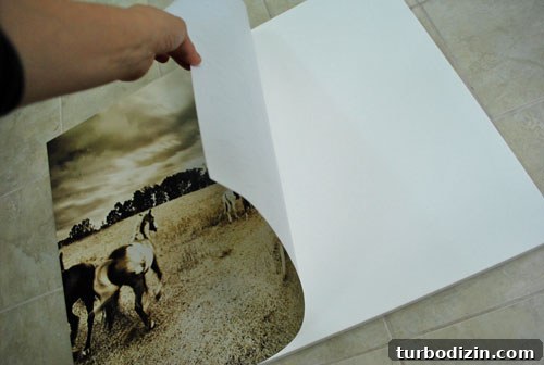 Glue a Large Print to Canvas Using Acrylic Medium: Step-by-Step Guide 5 img 36055 4