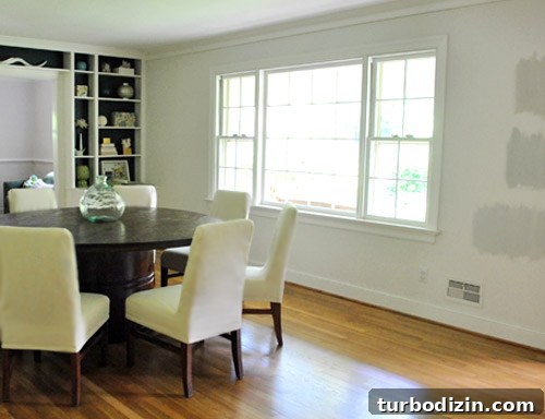 Moonshine by Benjamin Moore: The Ideal Light Gray Paint Color 4 img 36359 3