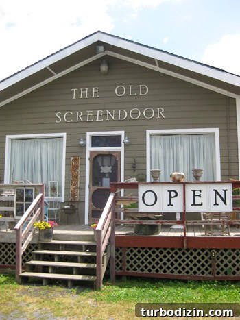 Where to Shop in Bethany Beach: Top Local Stores & Boutiques 2 Front of The Old Screen Door shop in Lewes