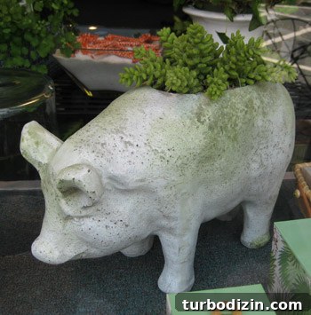 Where to Shop in Bethany Beach: Top Local Stores & Boutiques 12 Pig planter in flower shop window