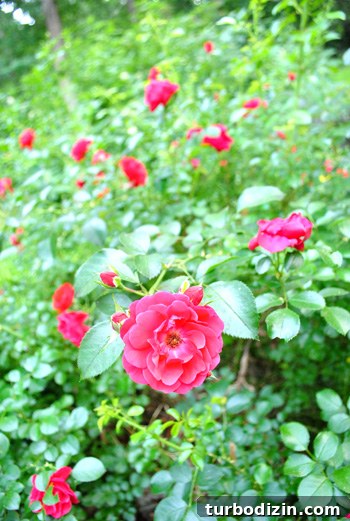 img 36635 13