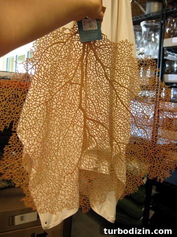 Shop Fabric at Mary Jo’s Near Charlotte — Store Guide & Tips 18 img 36742 17