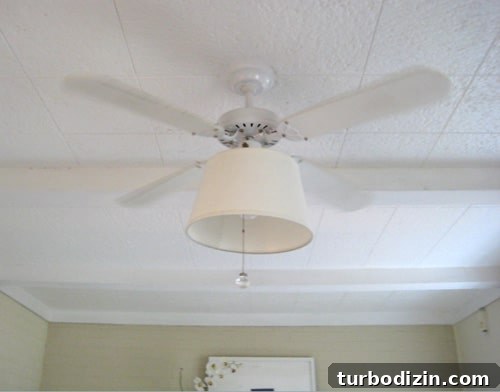 fan-shade-lamp-shade-fan-update-current-fan fan-shade-lamp-shade-fan-update-current-fan