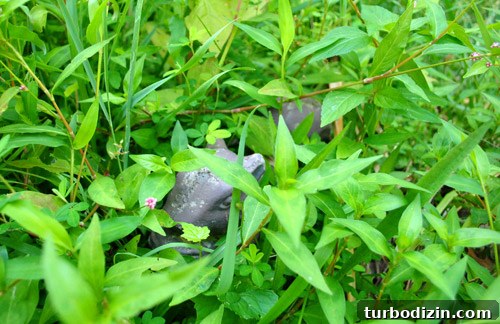 Iron squirrel by mailbox