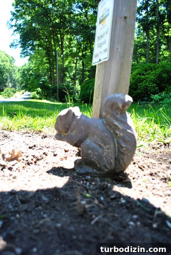 Norman the iron squirrel