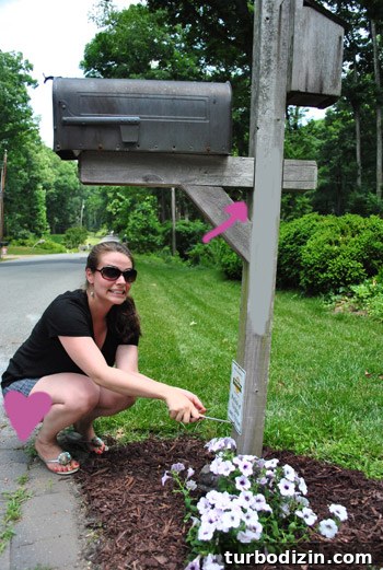 Removing signs from mailbox