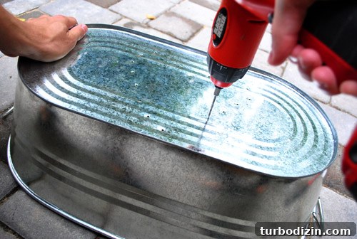 How to Grow an Herb Garden in a Metal Tub: Step-by-Step Guide 4 img 37217 3