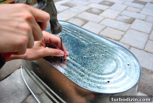 How to Grow an Herb Garden in a Metal Tub: Step-by-Step Guide 5 img 37217 4