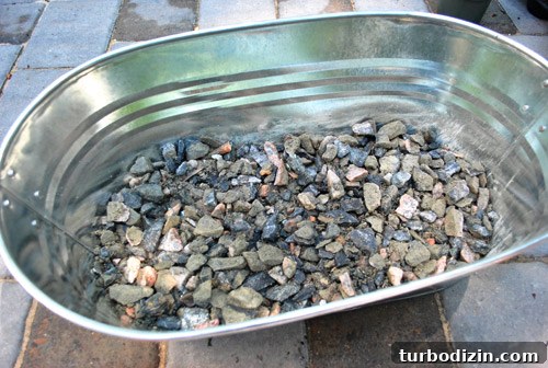 How to Grow an Herb Garden in a Metal Tub: Step-by-Step Guide 6 img 37217 5