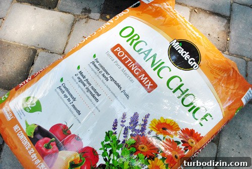 How to Grow an Herb Garden in a Metal Tub: Step-by-Step Guide 9 img 37217 8