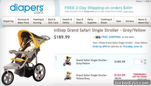 Custom House Portrait Reveals New Stroller Purchase 5 img 37257 4