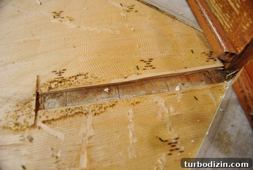 Removing Cabinets and Repairing Vinyl Floor Tile: Step-by-Step Guide 18 img 37273 20