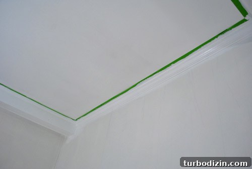 img 37317 10