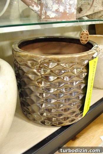 Window Shopping at HomeGoods: Top Finds and What to Know 10 img 37375 9