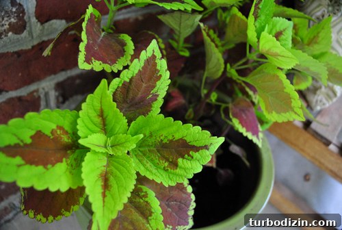 Porch Makeover Ideas to Boost Your Home’s Curb Appeal 15 Potted plants on porch