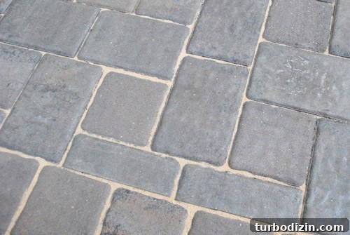 Prevent Weeds in Your Paver Patio Using Polymeric Sand 11 img 37715 10