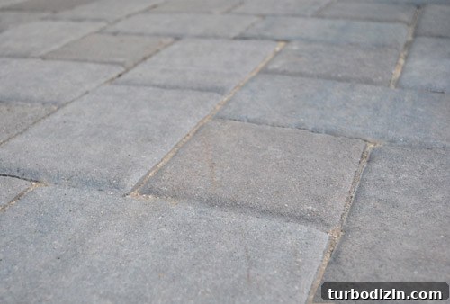 Prevent Weeds in Your Paver Patio Using Polymeric Sand 12 img 37715 11