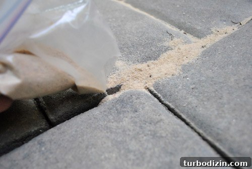 Prevent Weeds in Your Paver Patio Using Polymeric Sand 7 img 37715 6