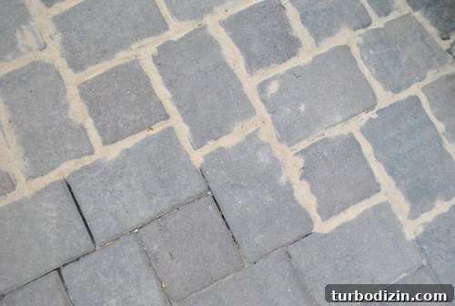 Prevent Weeds in Your Paver Patio Using Polymeric Sand 8 img 37715 7