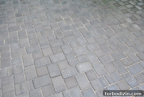 Prevent Weeds in Your Paver Patio Using Polymeric Sand 10 img 37715 9
