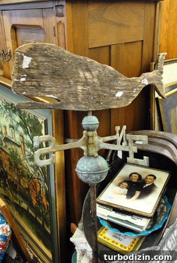 Outer Banks Thrift Shopping Guide: Top Spots & Tips for Finds 13 img 37776 12