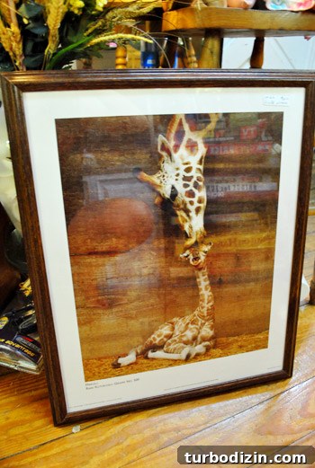 Outer Banks Thrift Shopping Guide: Top Spots & Tips for Finds 10 img 37776 9