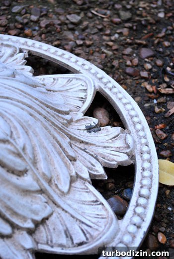 Spray Painting a Metal Outdoor Patio Set: Step-by-Step Guide 4 Peeling paint on patio furniture