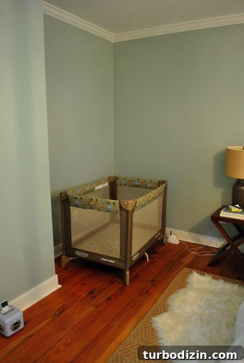 How to Paint a Closet That Lasts: Step-by-Step Guide 4 img 38518 3