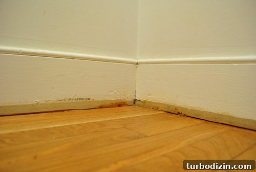 How to Paint a Closet That Lasts: Step-by-Step Guide 9 img 38518 8