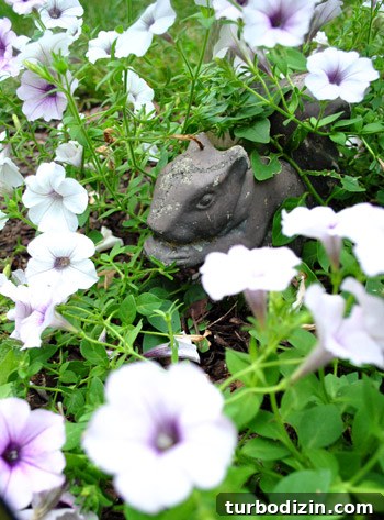 Squirrel enjoying flowers