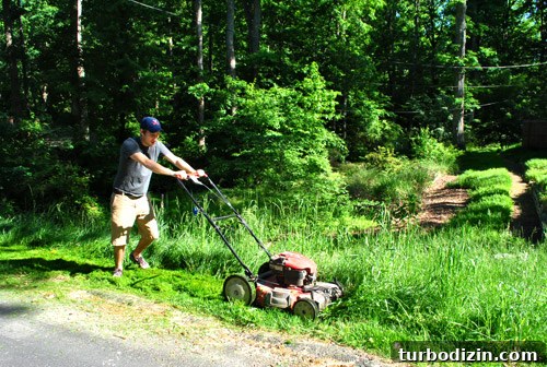 Mowed front strip
