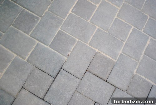 img 38660 7