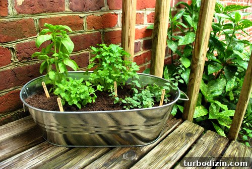 Top June Superlatives: Most Memorable Moments and Achievements 10 Container garden for herbs
