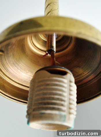 Top April Superlatives: Standout Moments, Trends & Winners 12 Removed odd light fixture