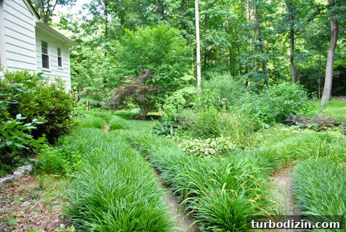 Our First House vs. Our Current Home: What Changed and Why 44 img 39758 43