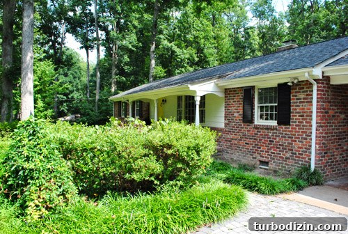 How to Remove Weeds from a Paver Driveway Quickly and Effectively 12 img 39854 11