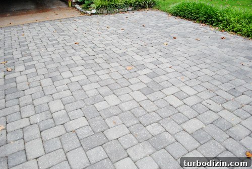 How to Remove Weeds from a Paver Driveway Quickly and Effectively 13 img 39854 12