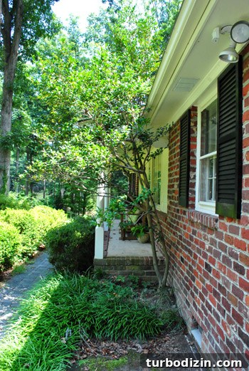 How to Remove Weeds from a Paver Driveway Quickly and Effectively 3 img 39854 2