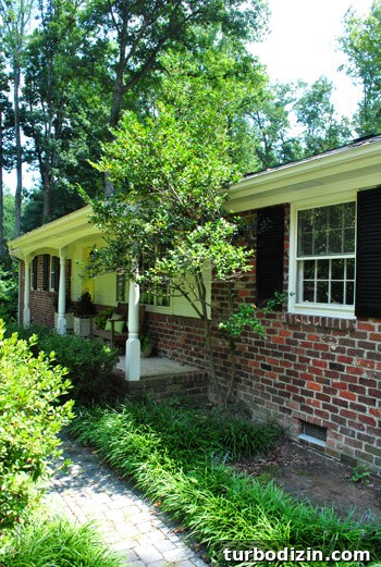 How to Remove Weeds from a Paver Driveway Quickly and Effectively 5 img 39854 4