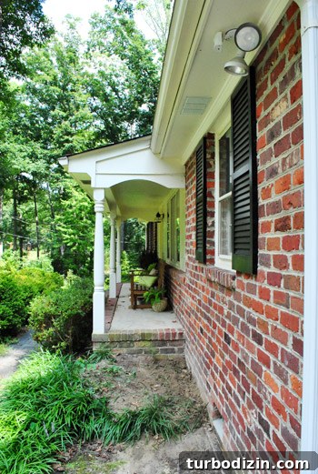How to Remove Weeds from a Paver Driveway Quickly and Effectively 9 img 39854 8