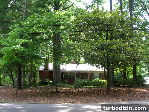 Front yard first house 8 months in