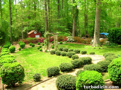 Back yard first house 8 months in