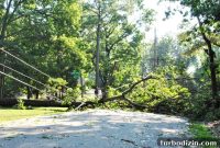 Hurricane Irene Damage: Impact, Recovery, and Repair Guide