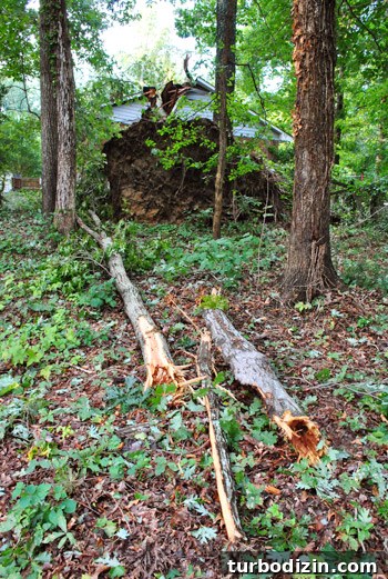 Hurricane Irene Damage: Impact, Recovery, and Repair Guide 11 img 39957 10
