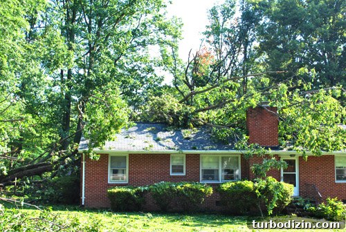 Hurricane Irene Damage: Impact, Recovery, and Repair Guide 3 img 39957 2