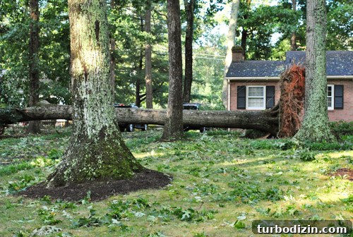 Hurricane Irene Damage: Impact, Recovery, and Repair Guide 4 img 39957 3