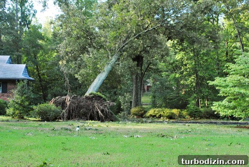 Hurricane Irene Damage: Impact, Recovery, and Repair Guide 5 img 39957 4