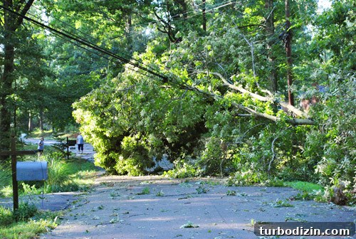 Hurricane Irene Damage: Impact, Recovery, and Repair Guide 6 img 39957 5