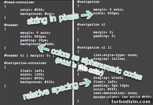 9 Essential Blog Coding and Website Design Tips for 2026 6 img 40411 5